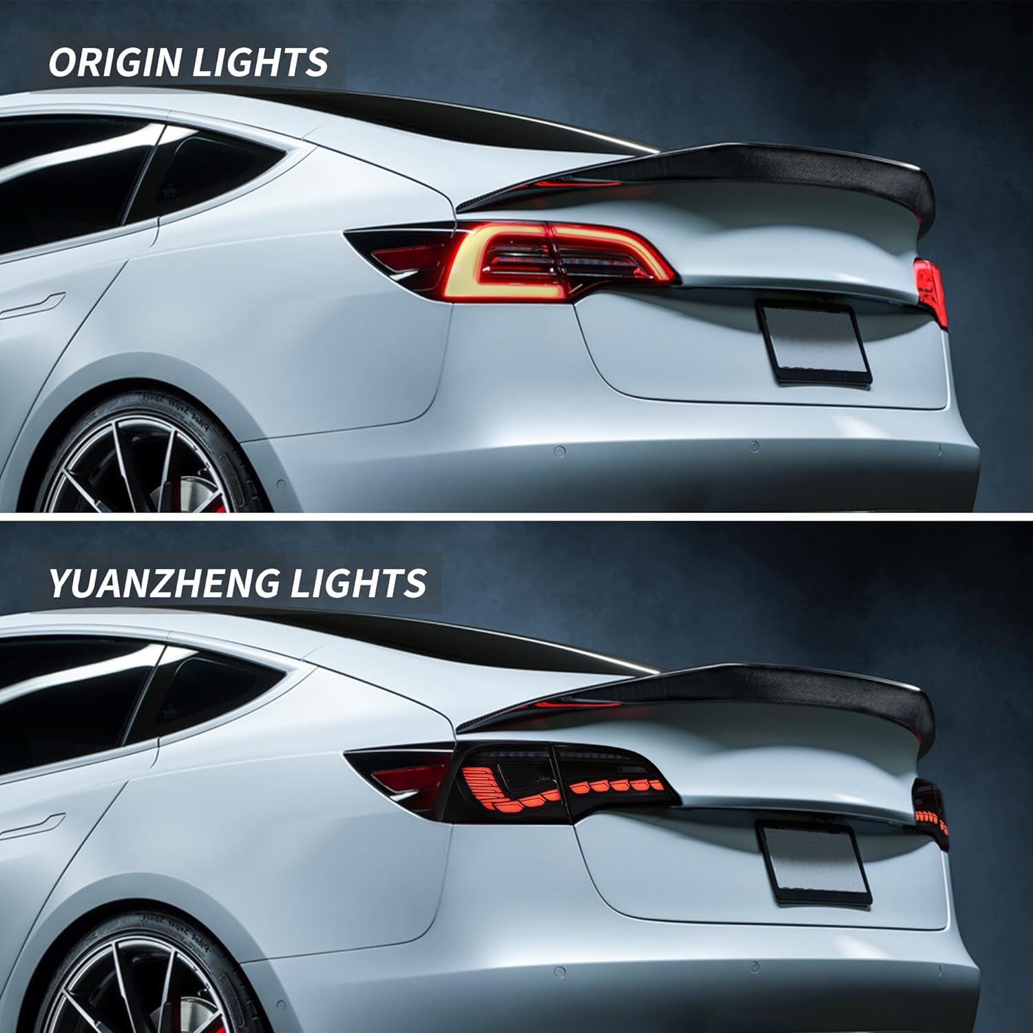 TESERY Dragon Scale Tail Lights for Model 3/Y